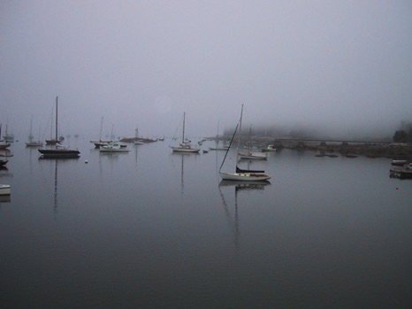 Misty Morn 2004 - NHP19 Misty Morn 2004 - NHP19